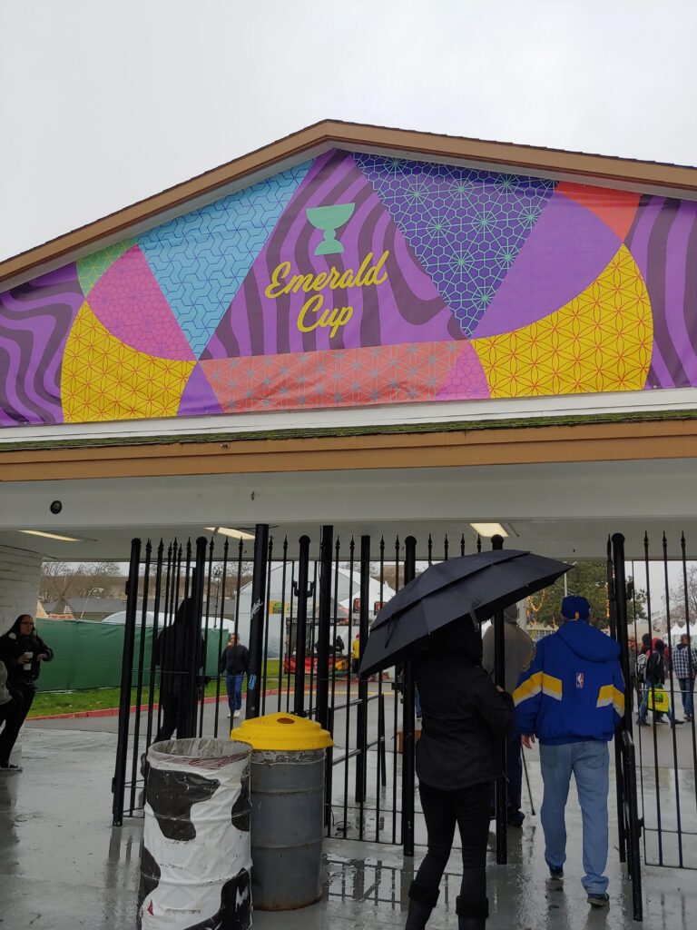 Enerald cup entrance