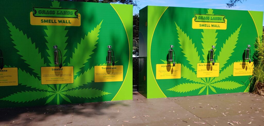 weedmaps education wall outside lands