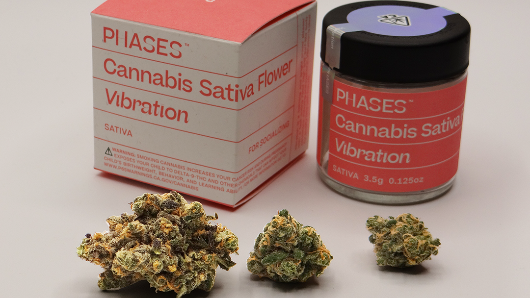 Phases Cannabis Blue Dream is a Vibe!