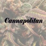 Cannapolitan Magazine ™